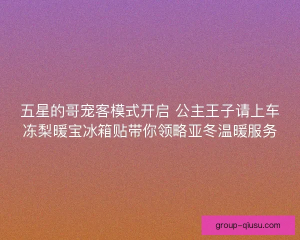 五星的哥宠客模式开启 公主王子请上车冻梨暖宝冰箱贴带你领略亚冬温暖服务